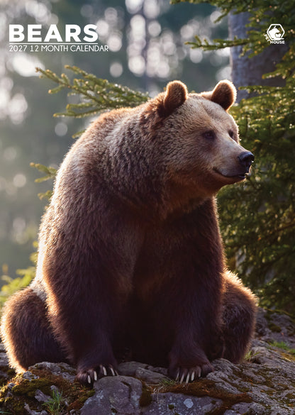 Bears - A3 Calendar 2027
