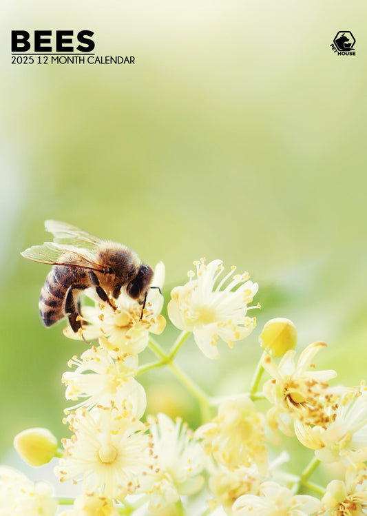 Bees Calendar 2025