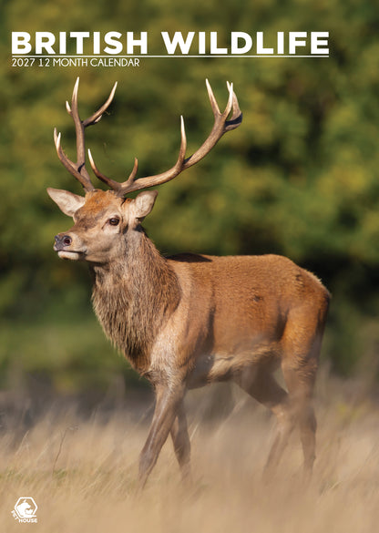 British Wildlife - A3 Calendar 2027