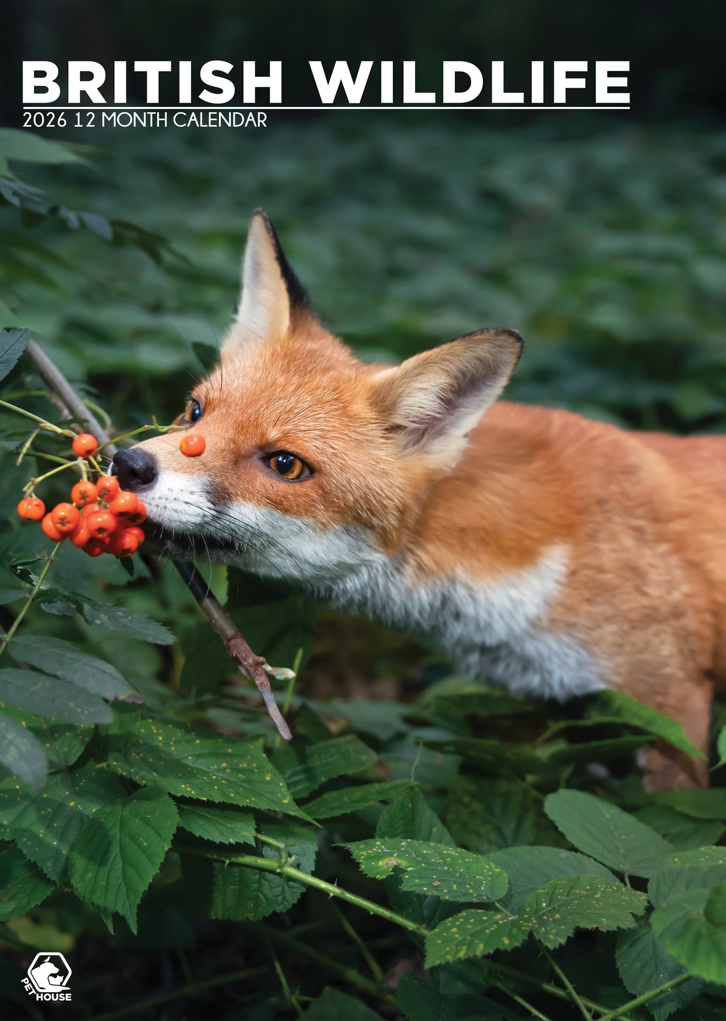 British Wildlife - A3 Calendar 2026