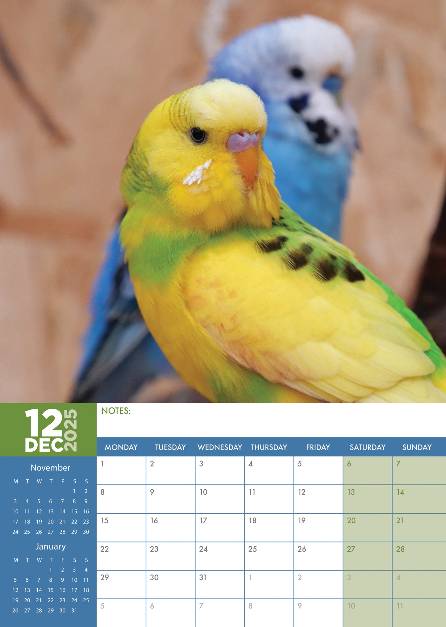 Budgerigars Calendar 2025