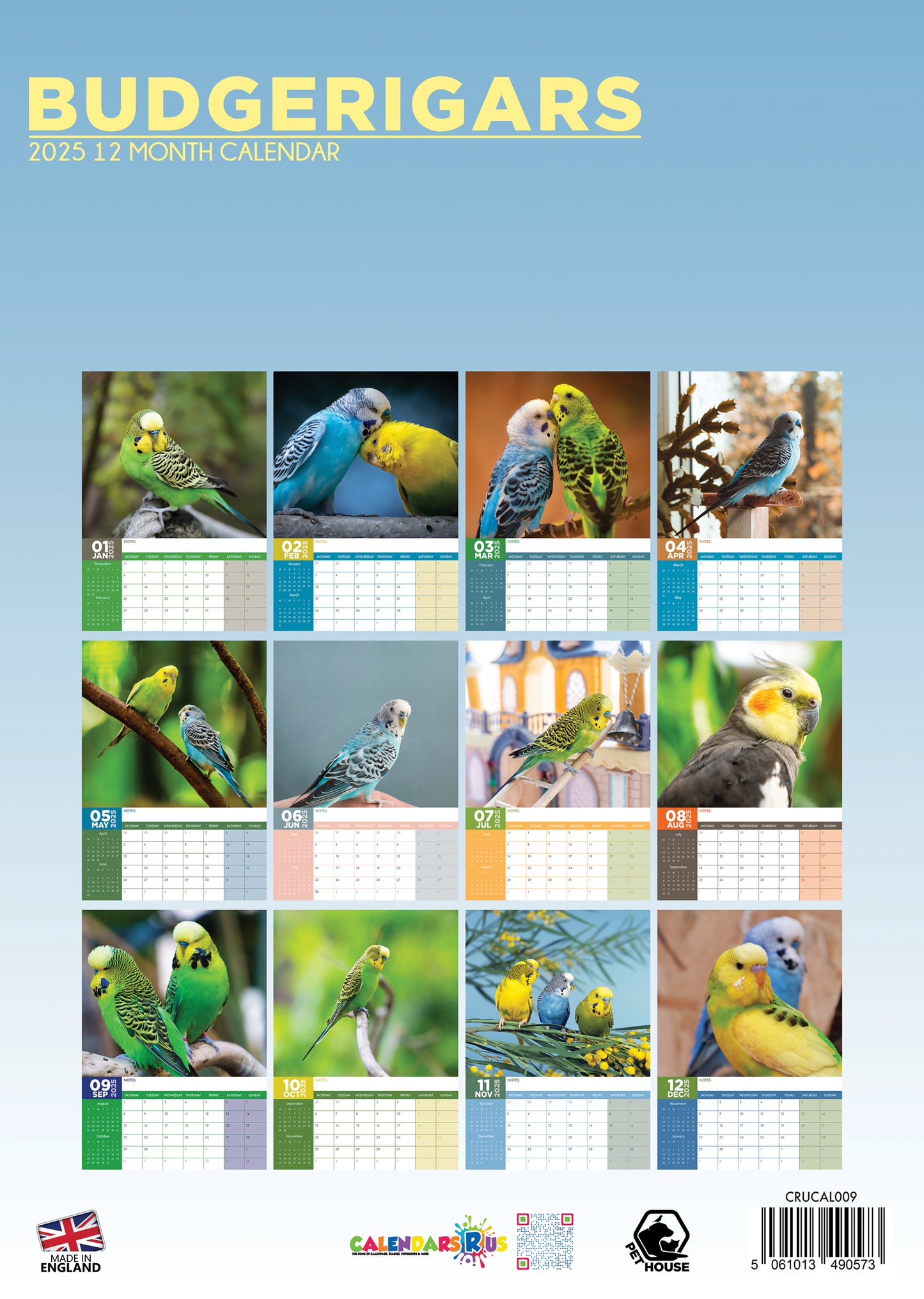 Budgerigars Calendar 2025