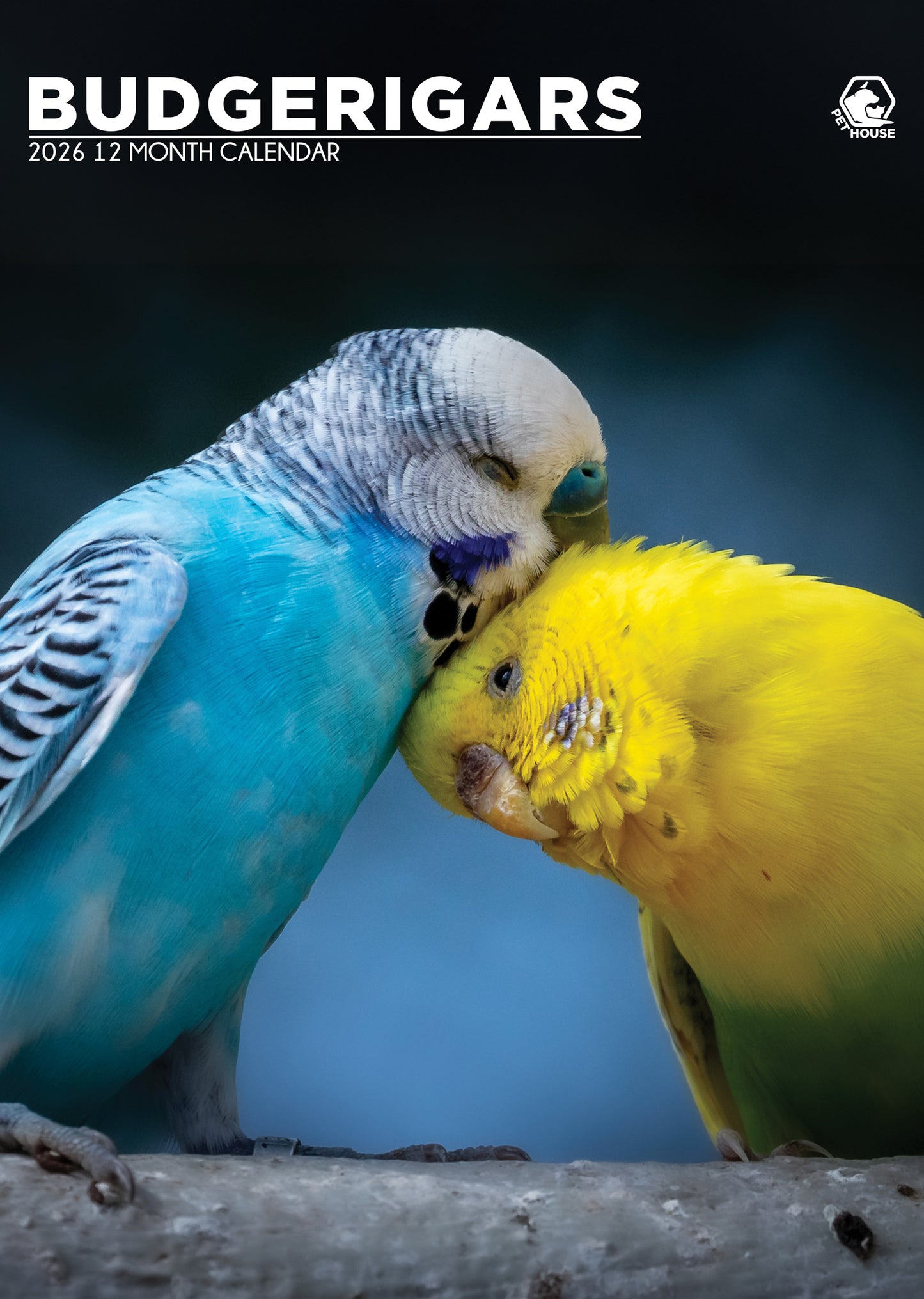 Budgerigars - A3 Wholesale