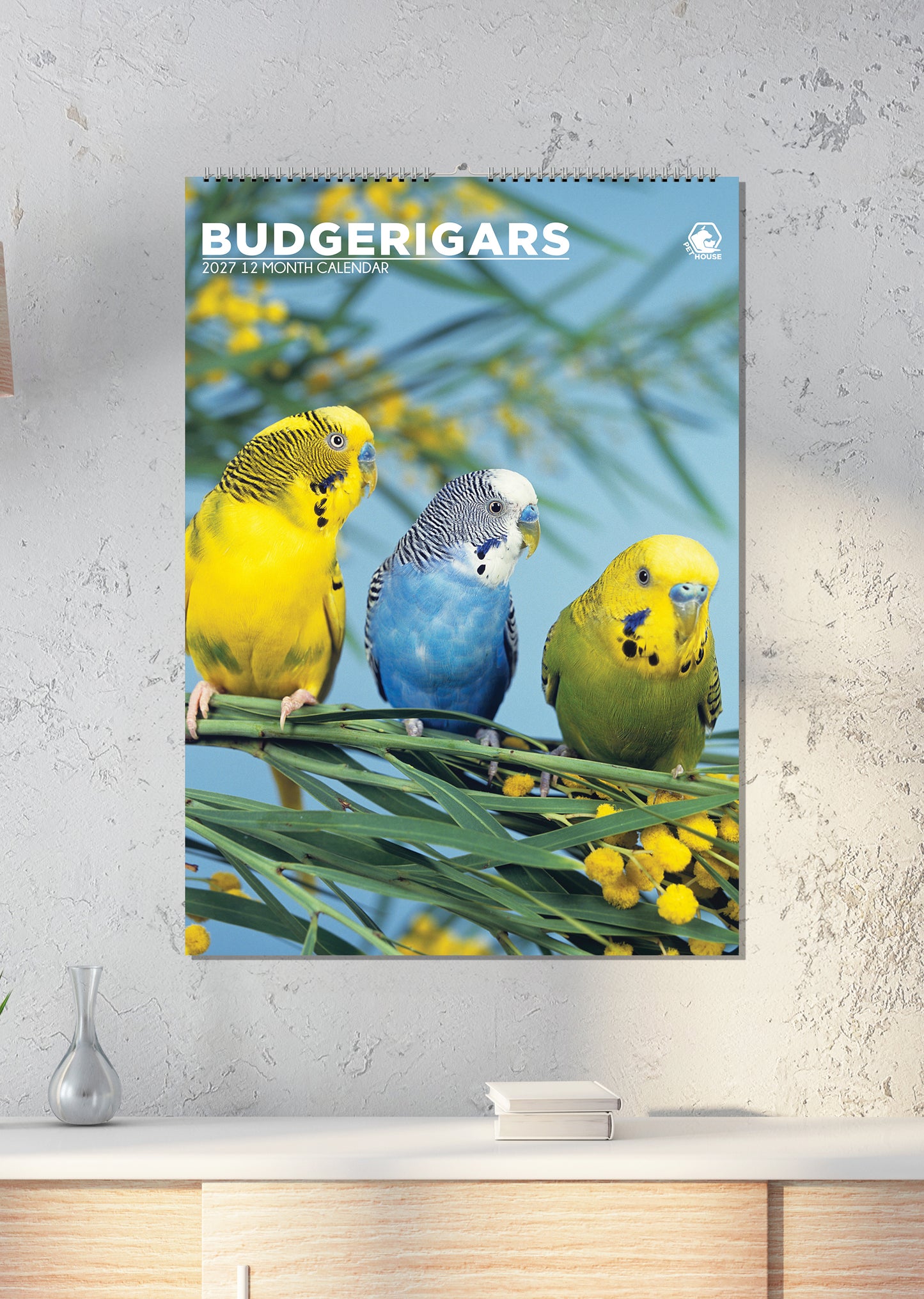 Budgerigars - A3 Calendar 2027