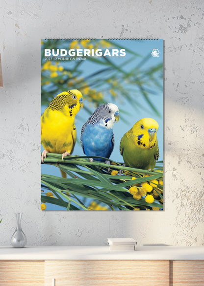 Budgerigars - A3 Calendar 2027
