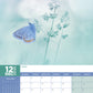 Butterflies Calendar 2025