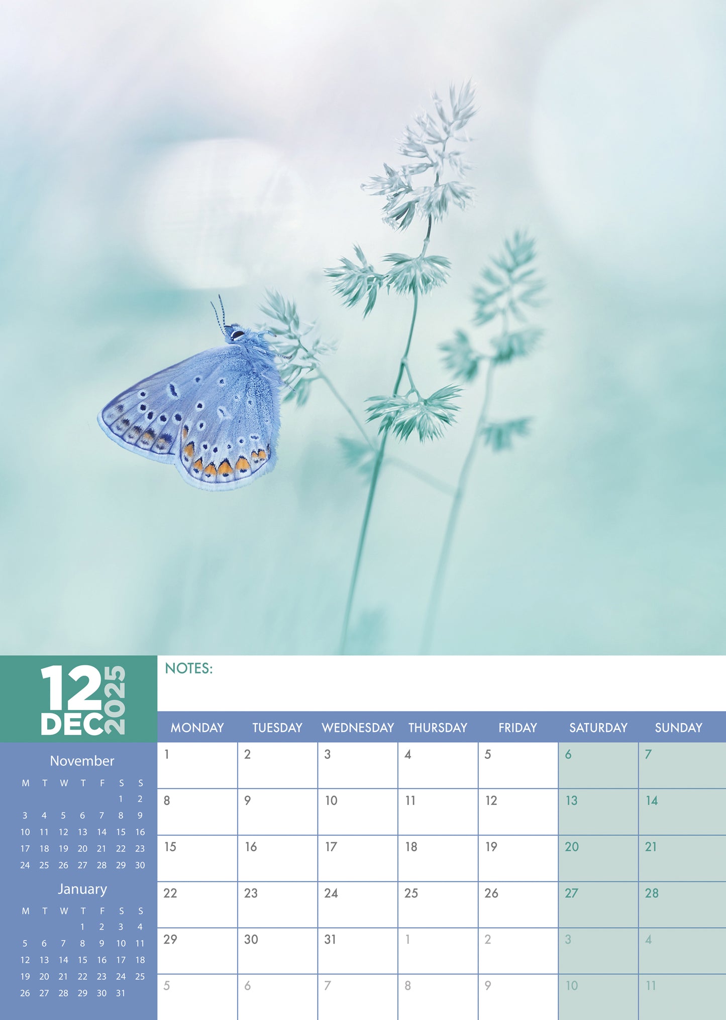 Butterflies Calendar 2025