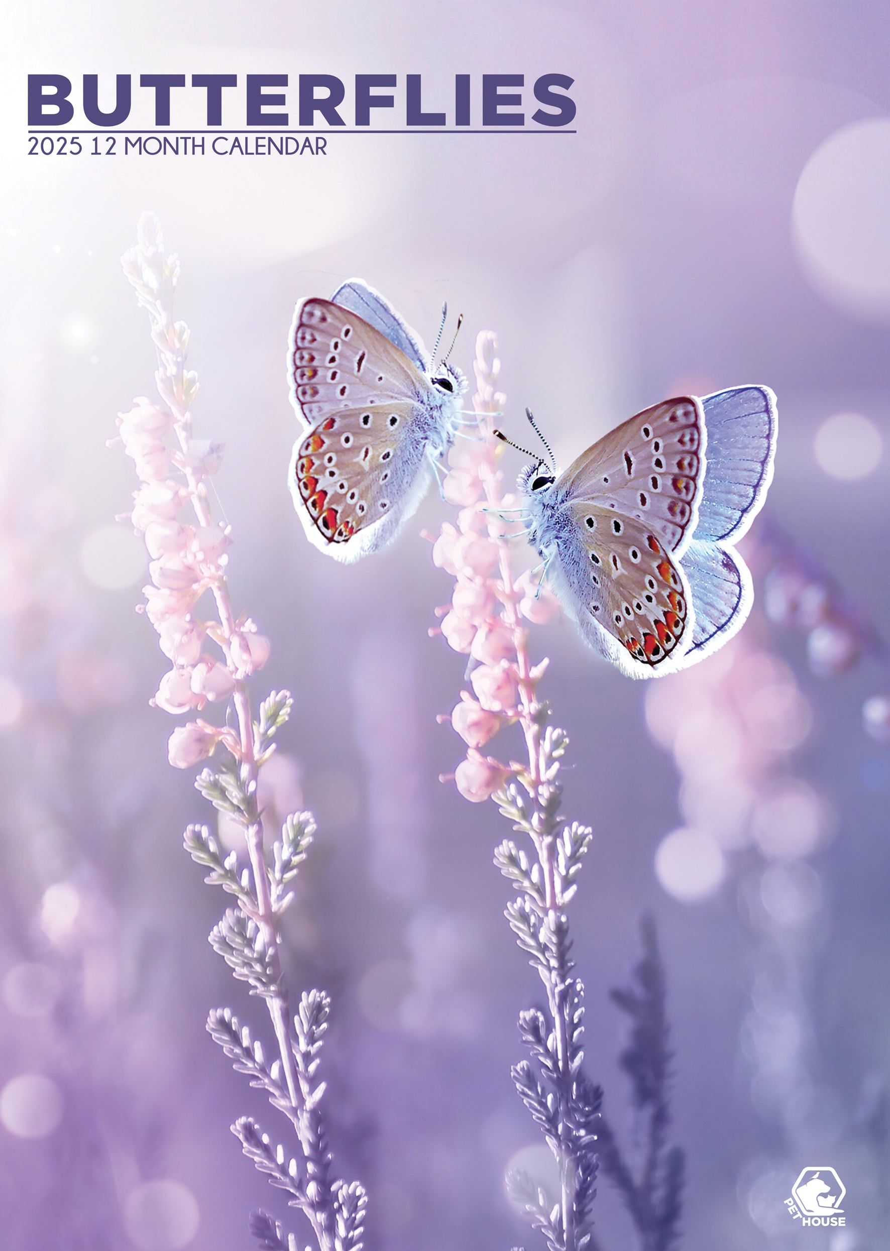 Butterflies Calendar 2025 CalendarsRus