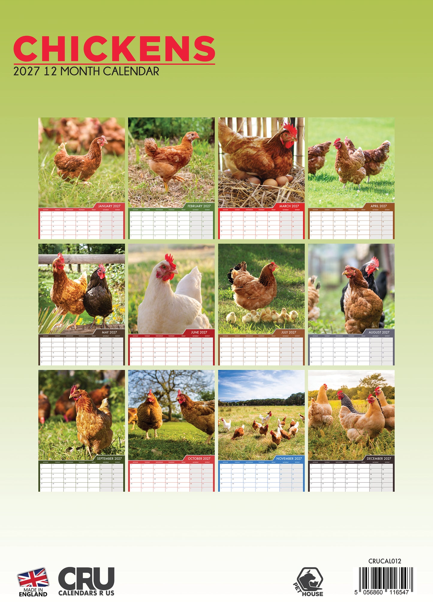 Chickens - A3 Calendar 2027
