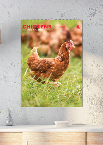 Chickens - A3 Calendar 2027