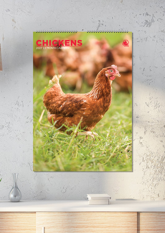 Chickens - A3 Calendar 2027