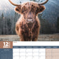 Cows Calendar 2025