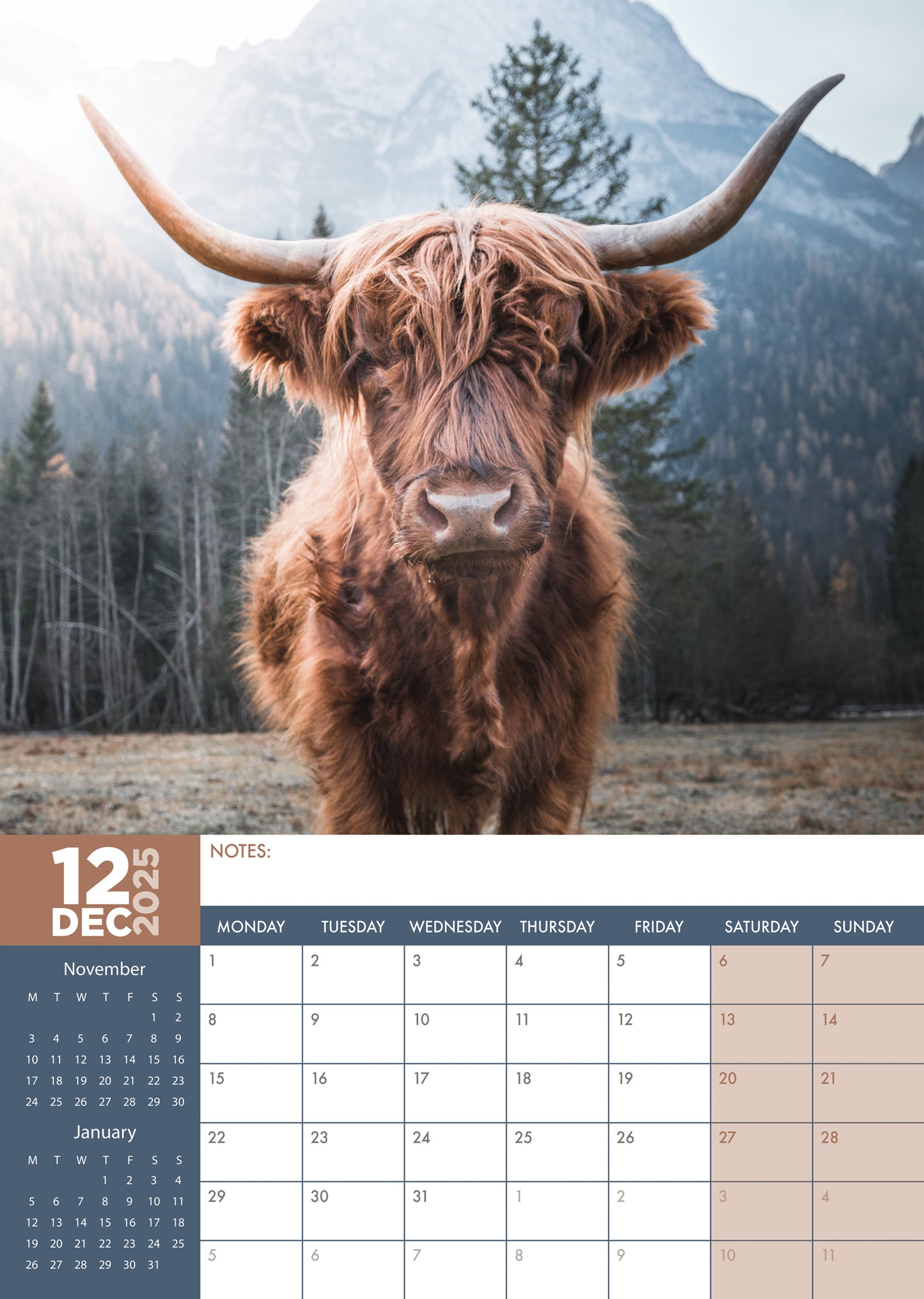 Cows Calendar 2025