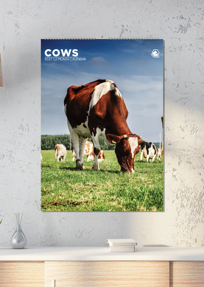 Cows - A3 Calendar 2027