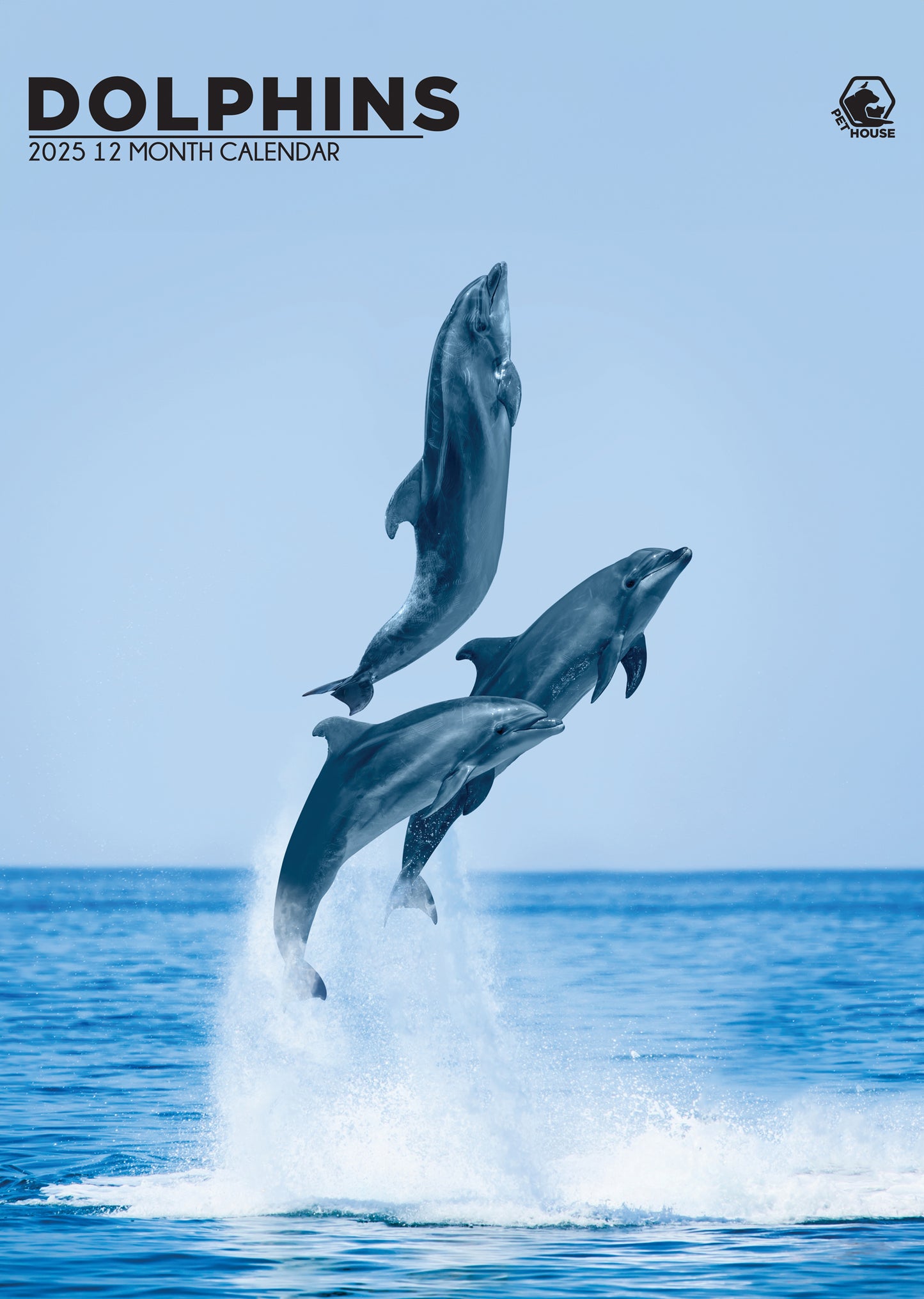 Dolphins Calendar 2024