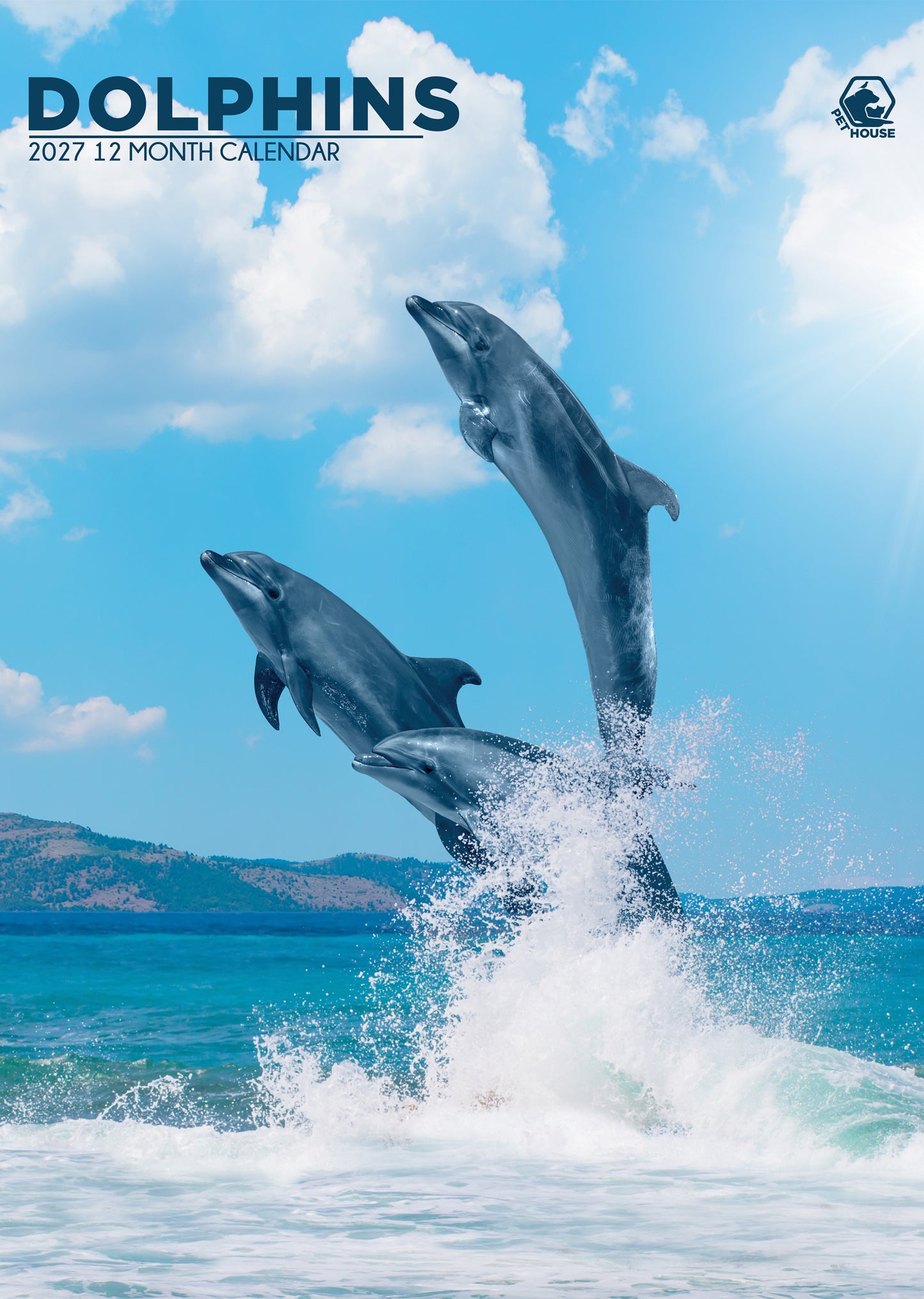Dolphins - A3 Calendar 2027