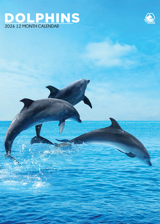 Dolphins - A3 Wholesale