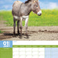 Donkeys Calendar 2025