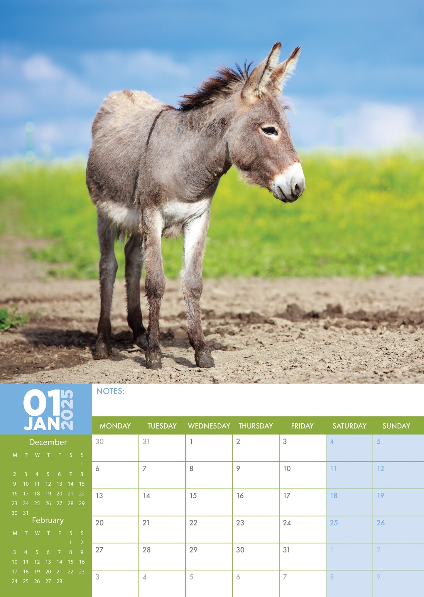 Donkeys Calendar 2025