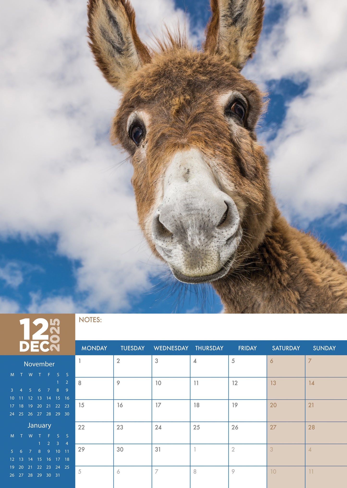 Donkeys Calendar 2025