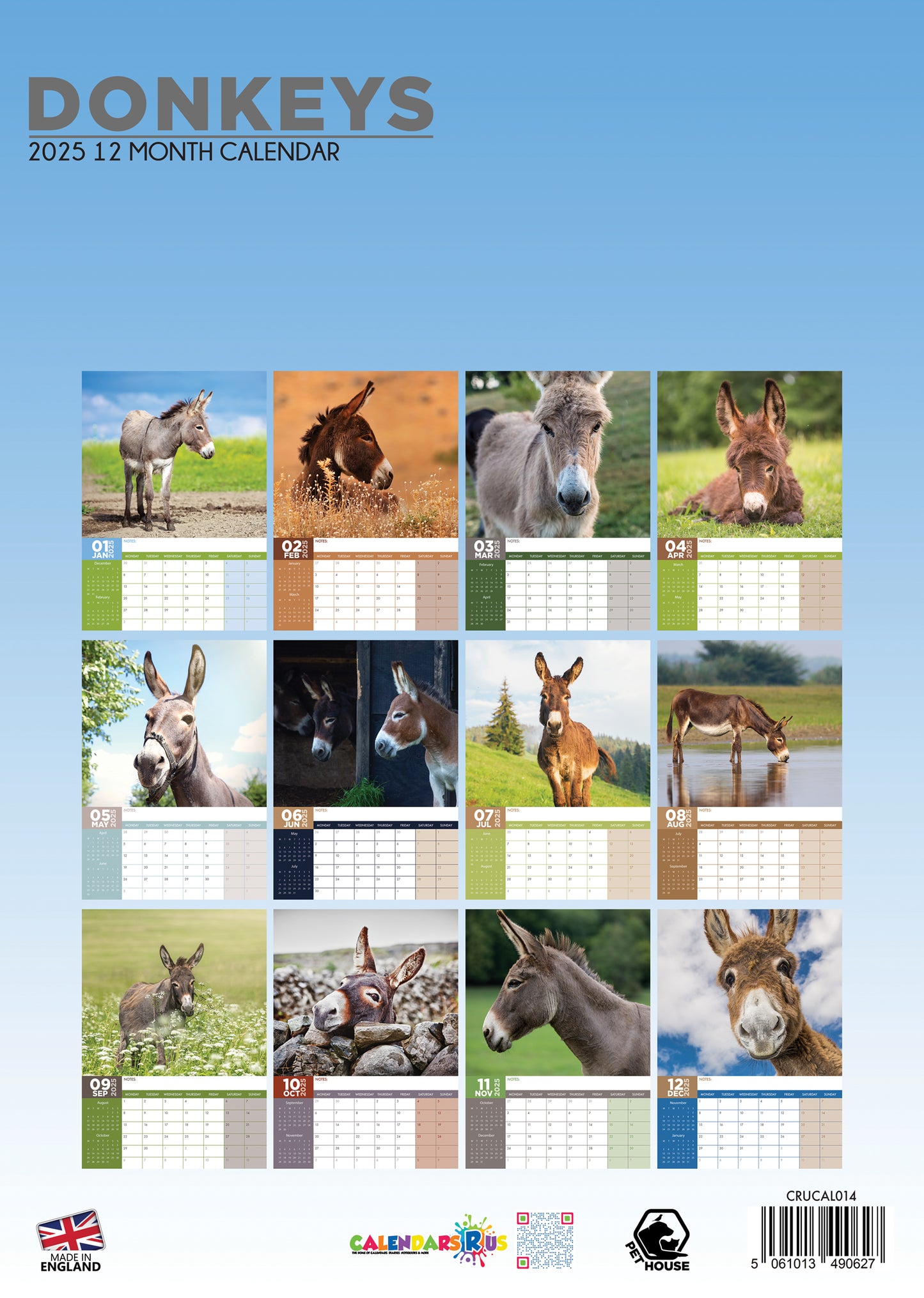 Donkeys Calendar 2024