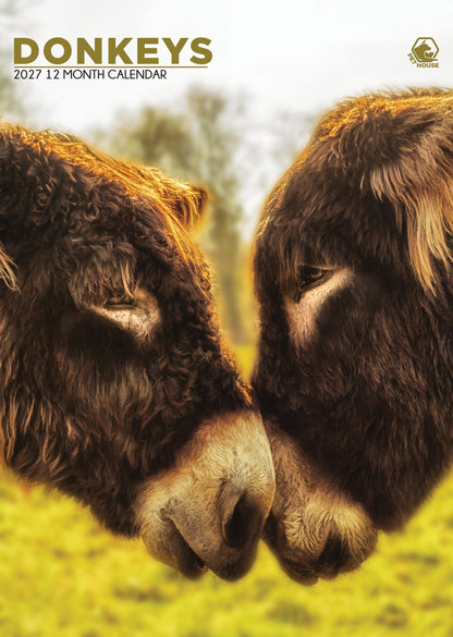 Donkeys - A3 Calendar 2027