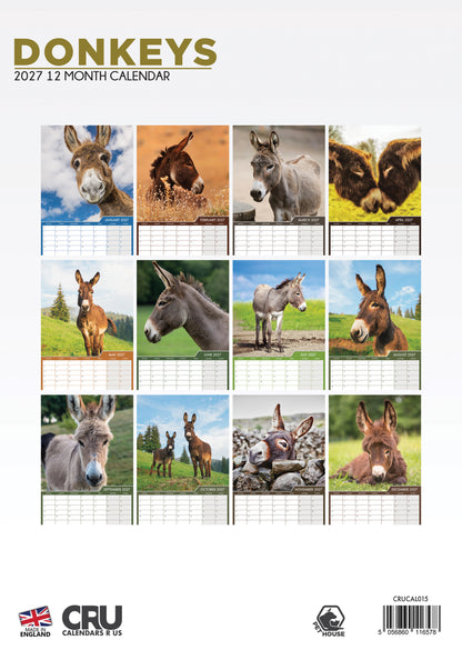 Donkeys - A3 Calendar 2027