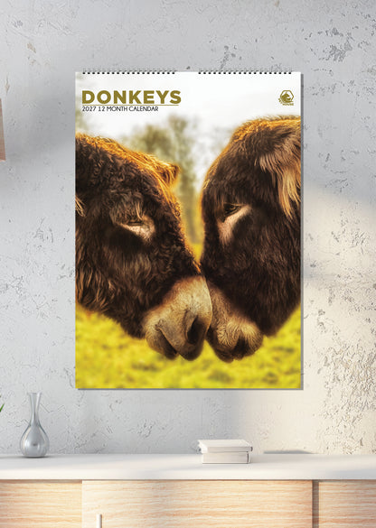 Donkeys - A3 Calendar 2027
