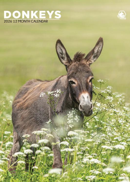 Donkeys - A3 Calendar 2026