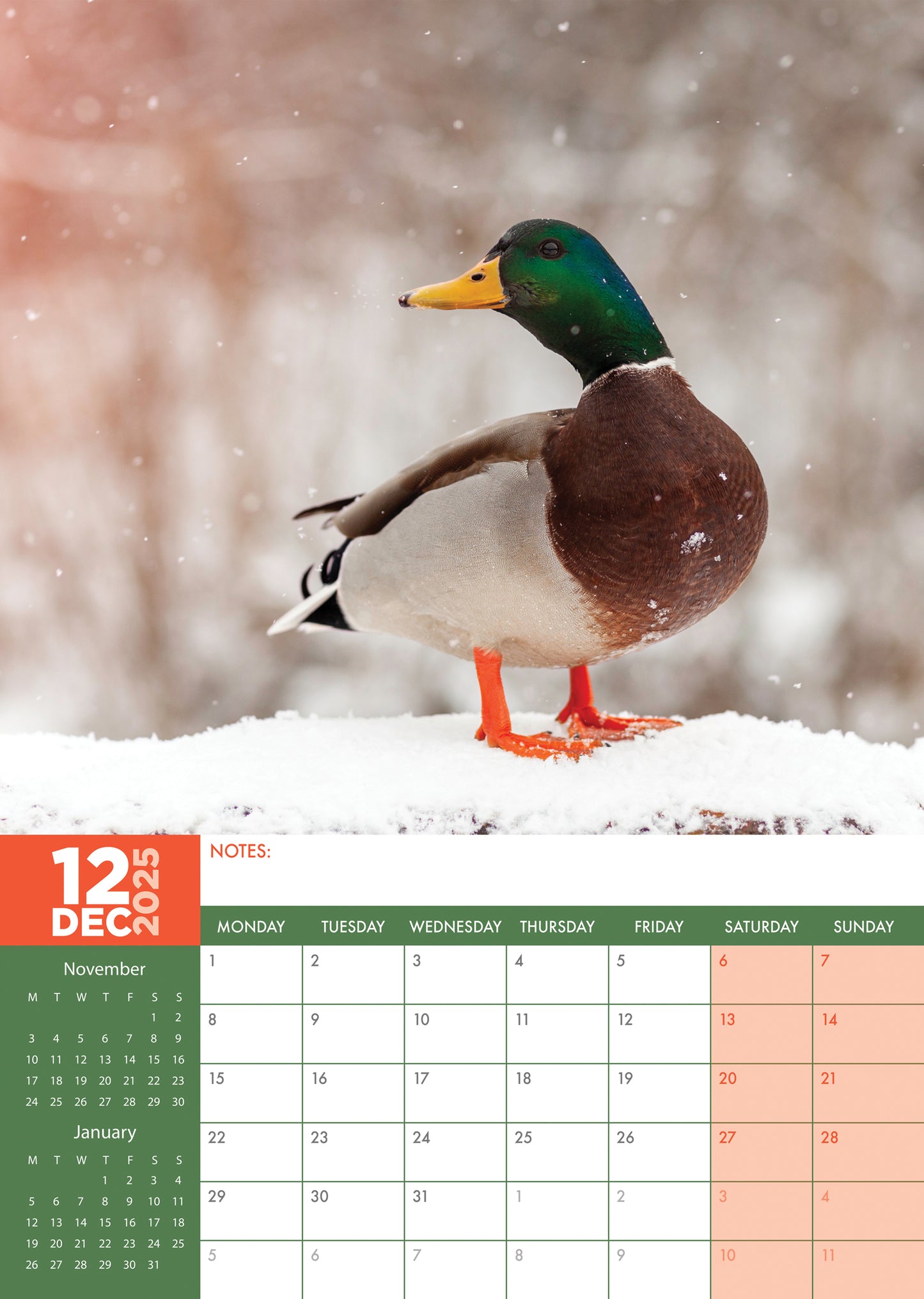 Ducks Calendar 2025