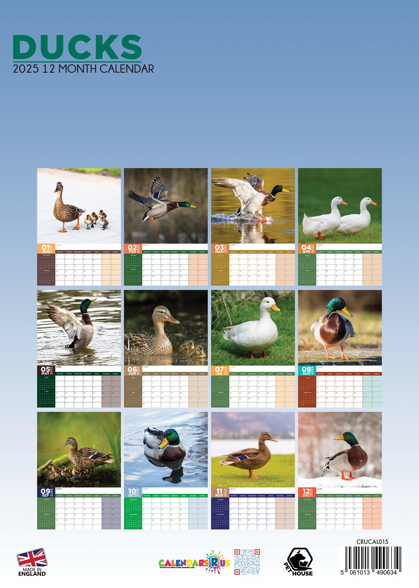 Ducks Calendar 2025