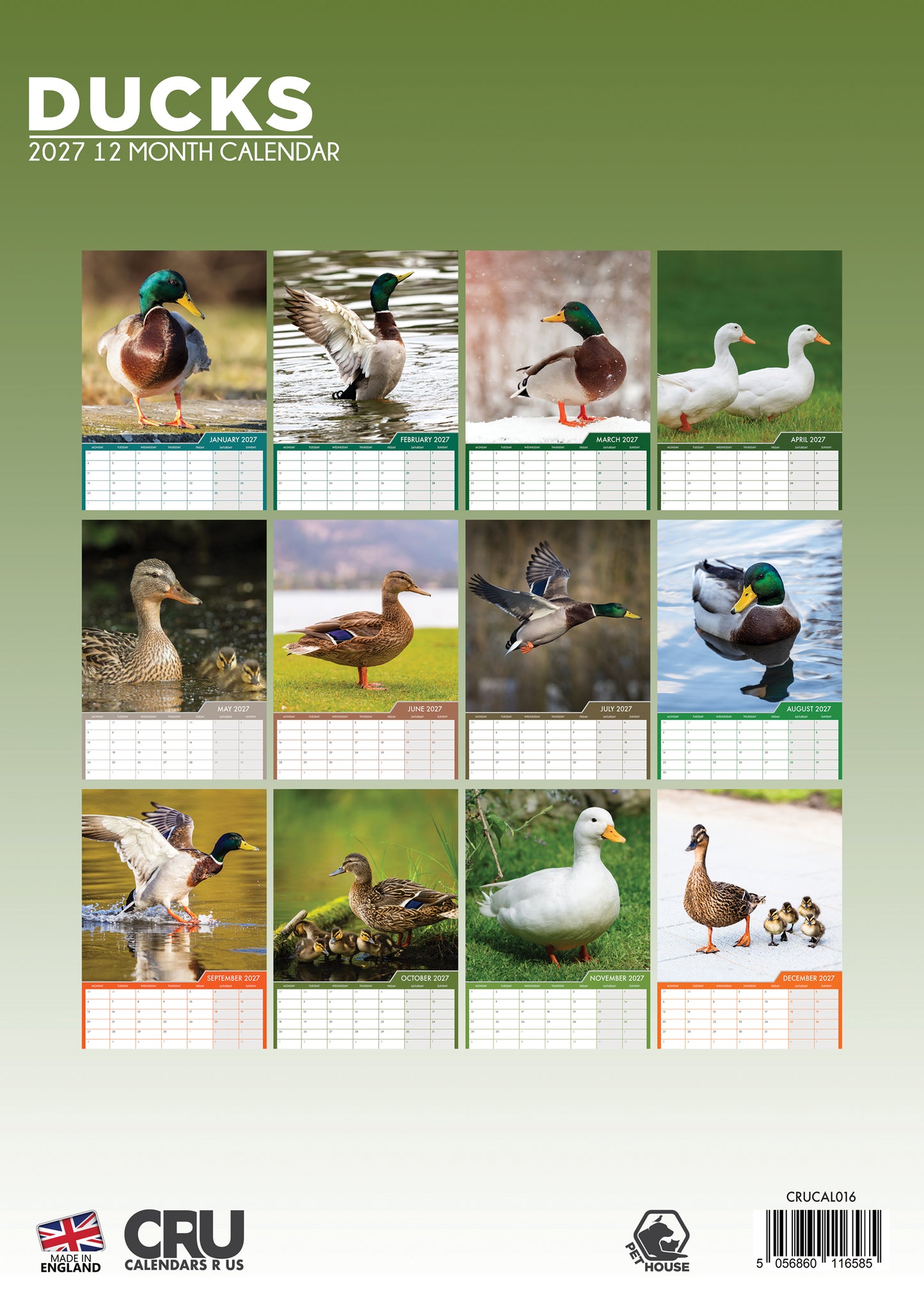 Ducks - A3 Calendar 2027