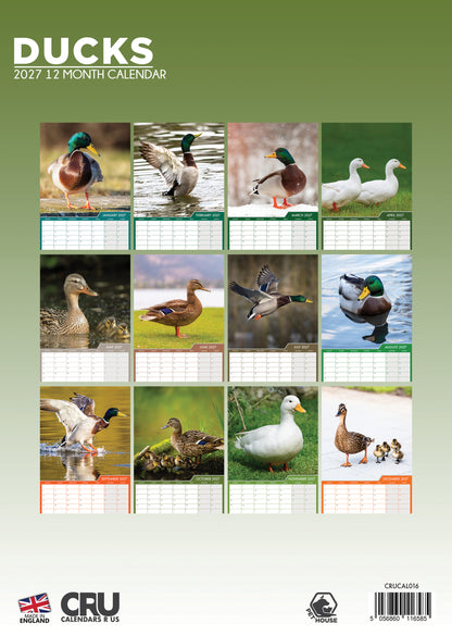 Ducks - A3 Calendar 2027
