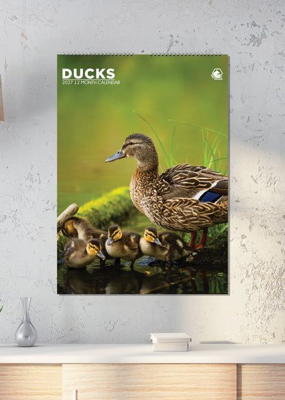 Ducks - A3 Calendar 2027