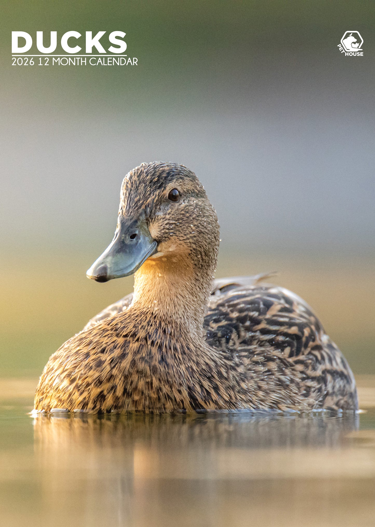 Ducks - A3 Calendar 2026