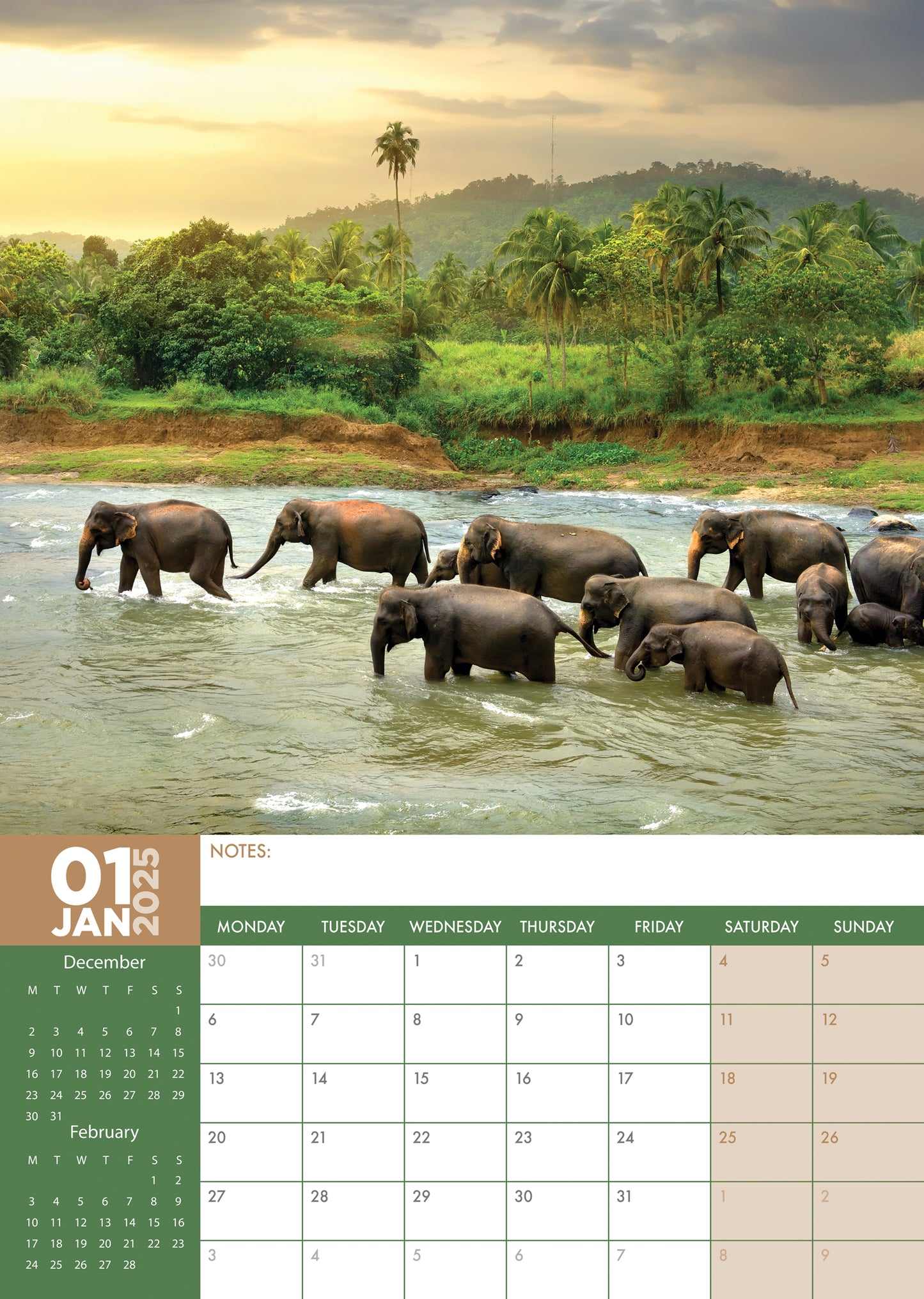 Elephants Calendar 2025