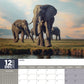 Elephants Calendar 2025