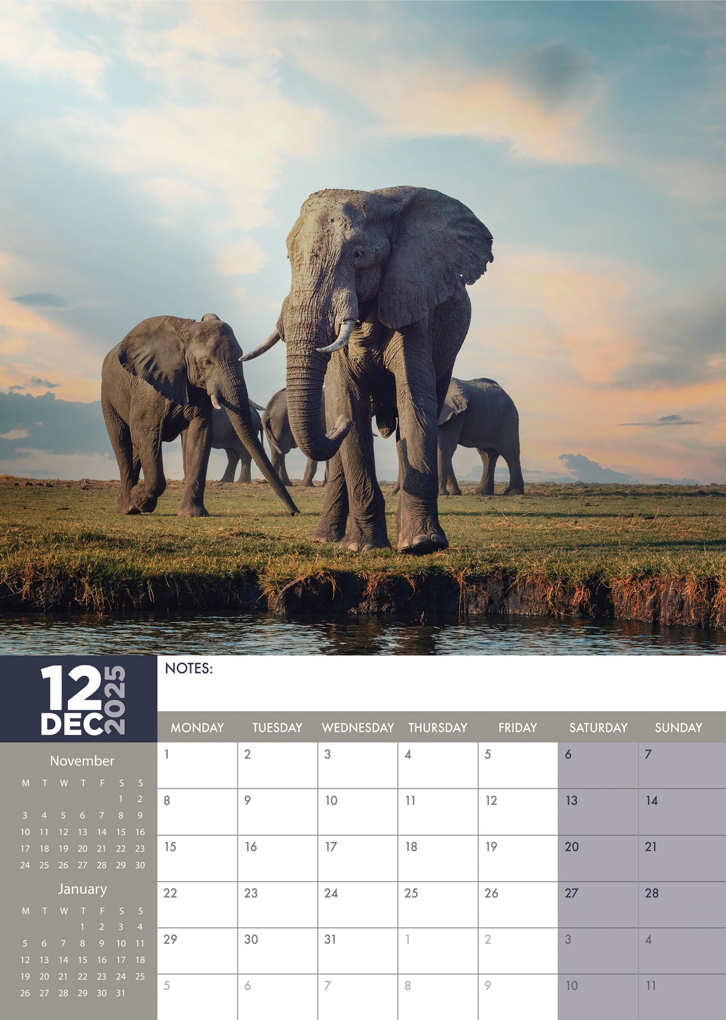 Elephants Calendar 2025