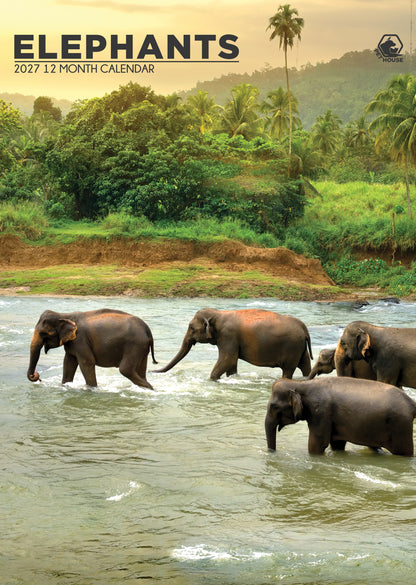 Elephants - Calendar 2027