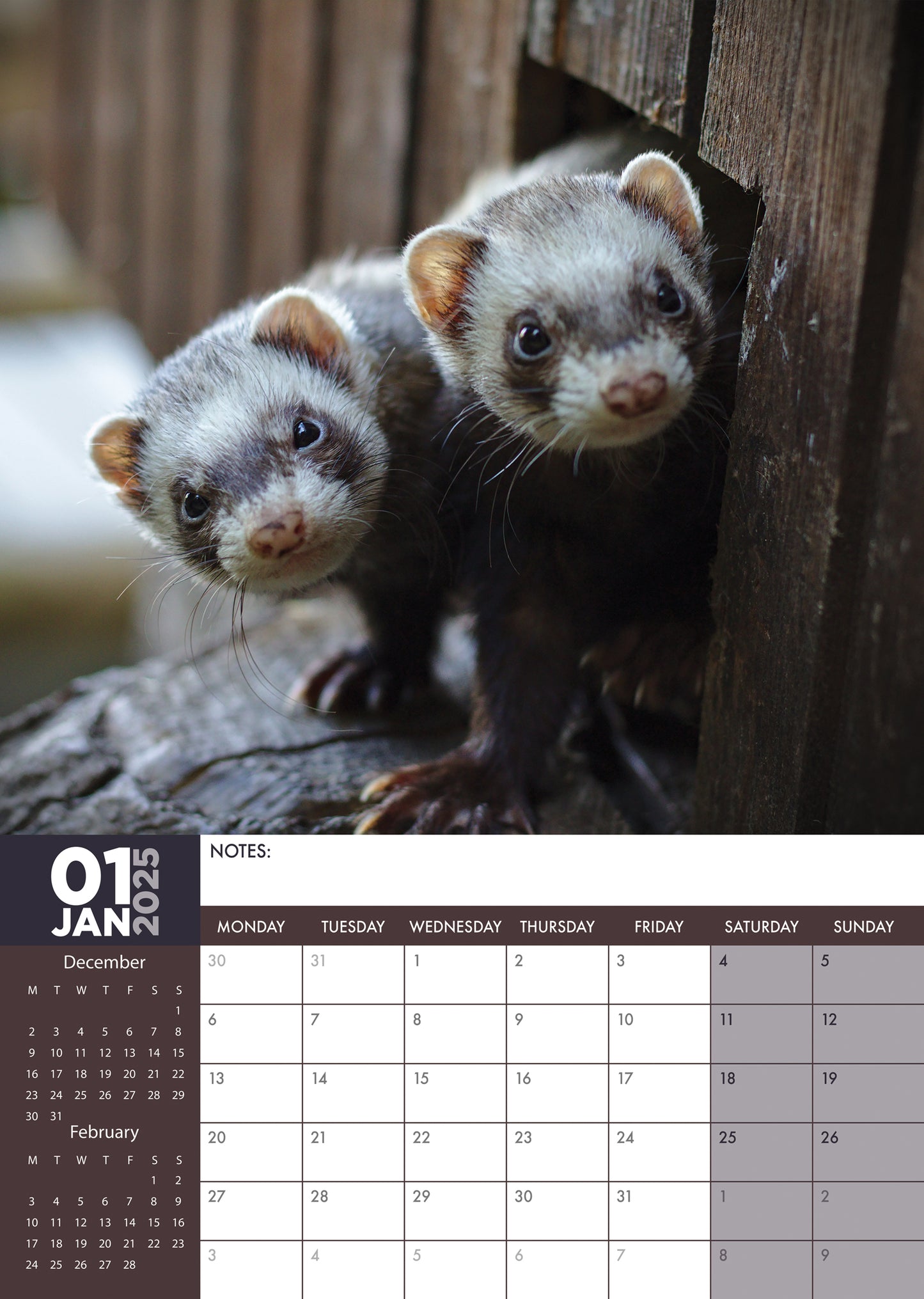 Ferrets Calendar 2025