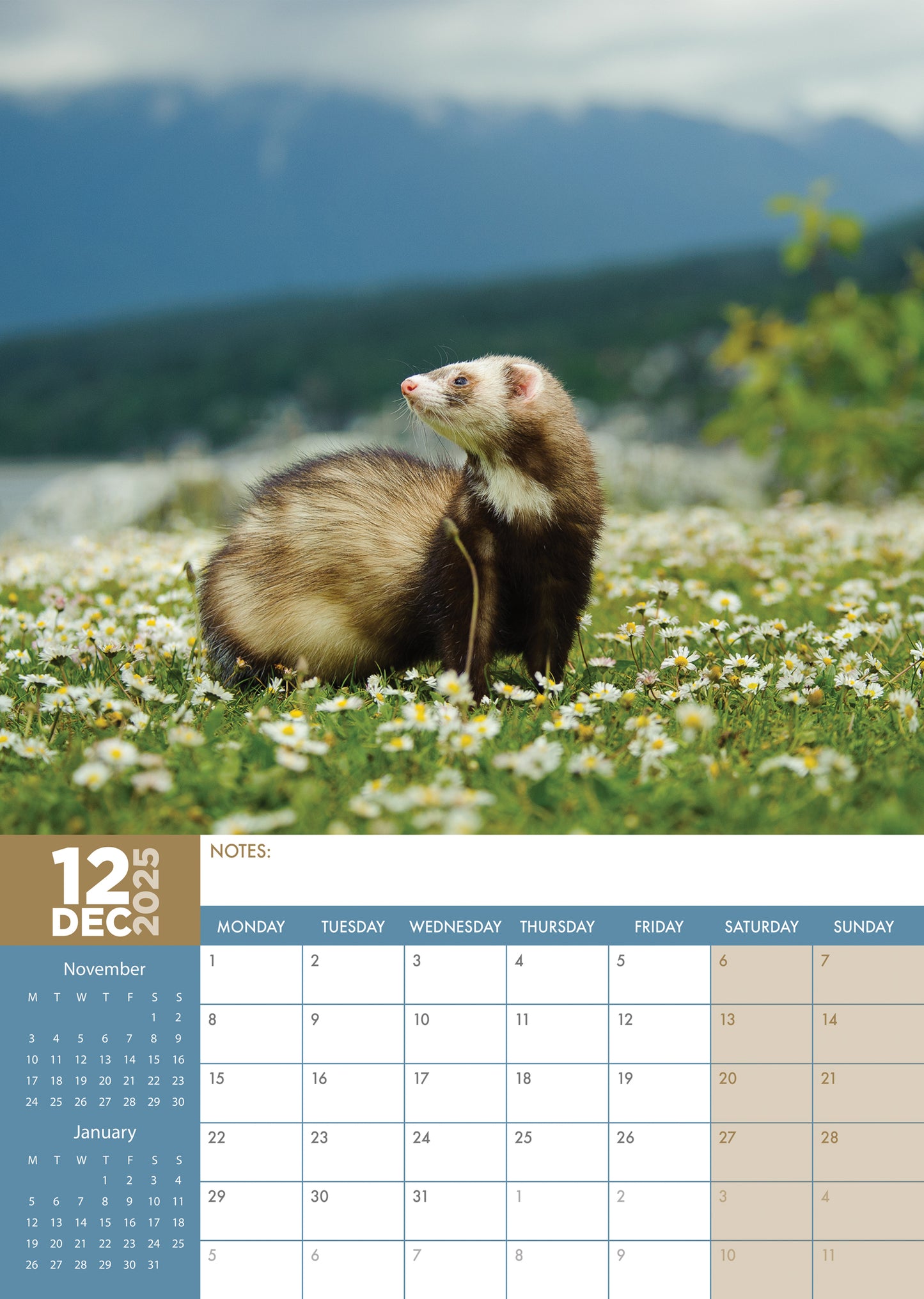 Ferrets Calendar 2025