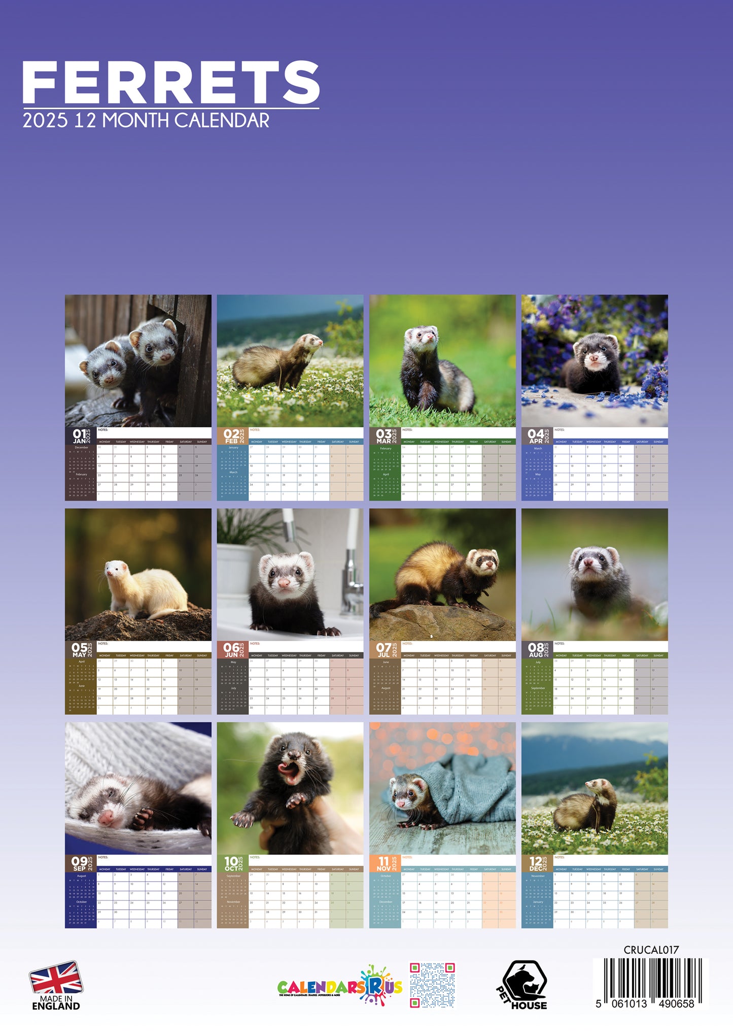 Ferrets Calendar 2025