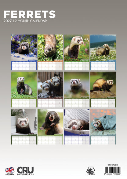 Ferrets - A3 Calendar 2027