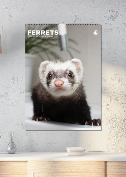 Ferrets - A3 Calendar 2027