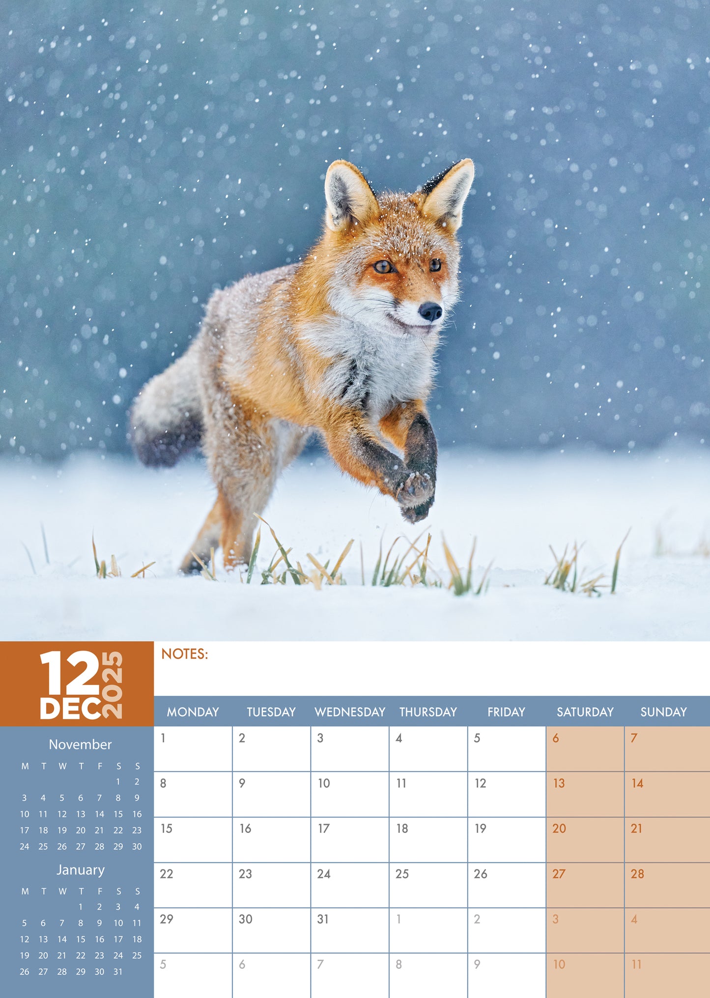 Foxes Calendar 2025