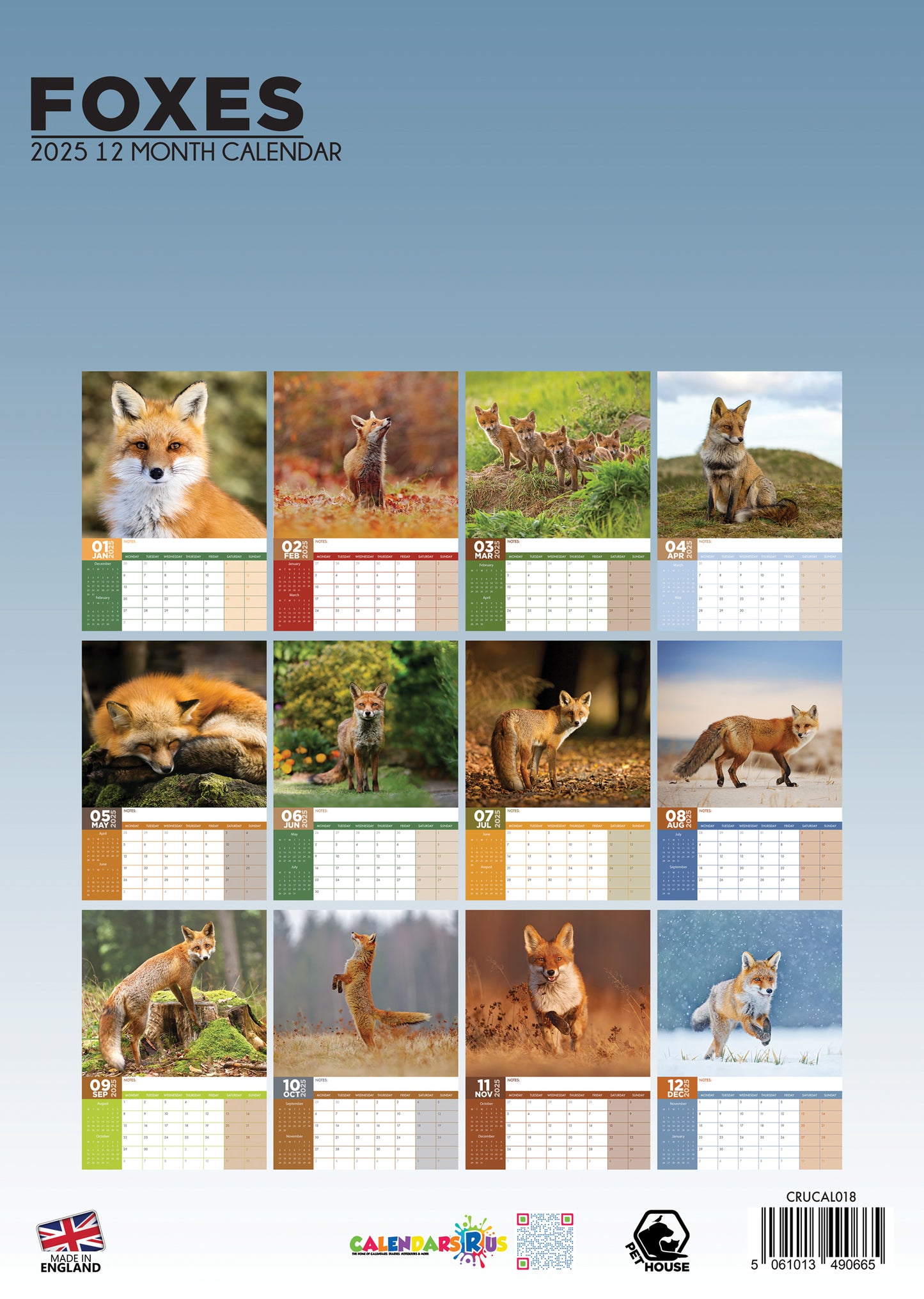 Foxes Calendar 2025