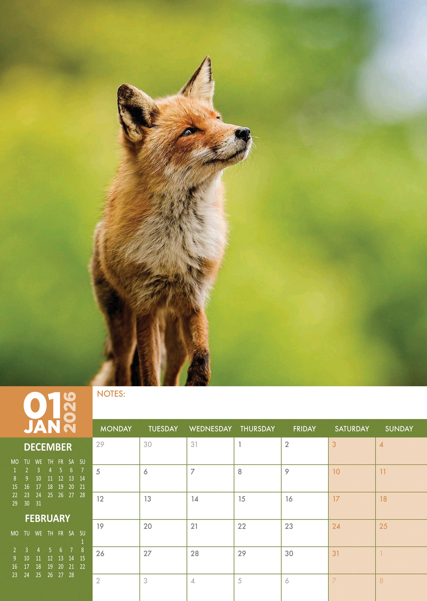 Foxes - A3 Calendar 2026