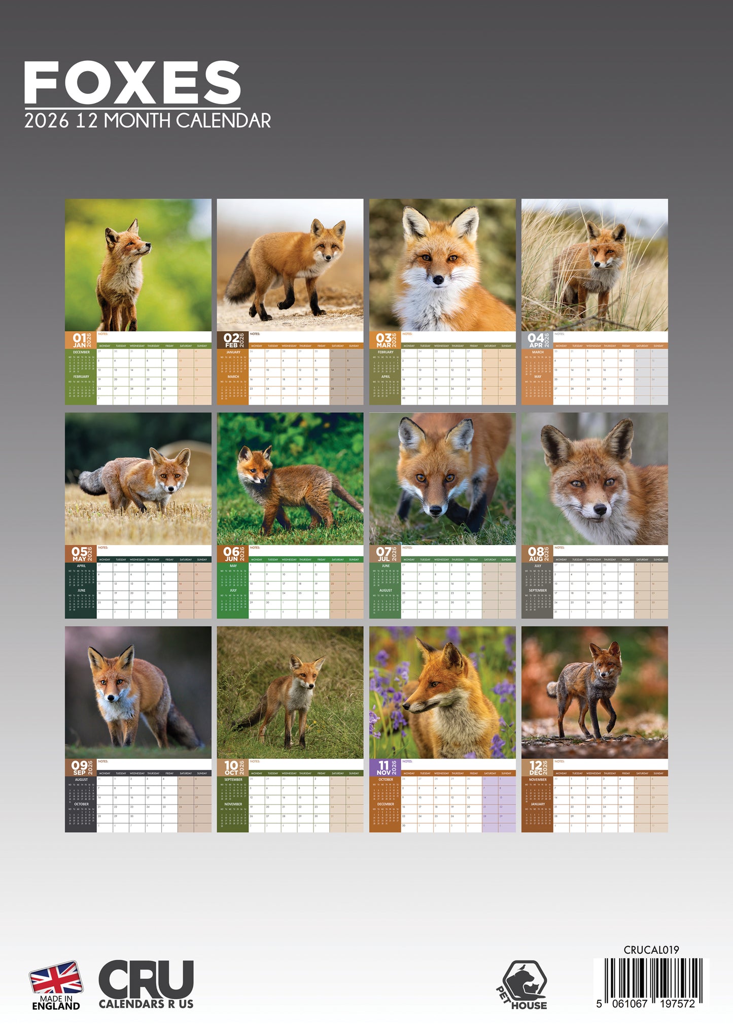 Foxes - A3 Calendar 2026