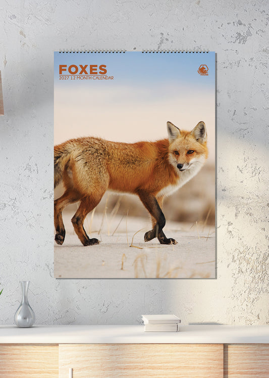 Foxes - A3 Calendar 2027