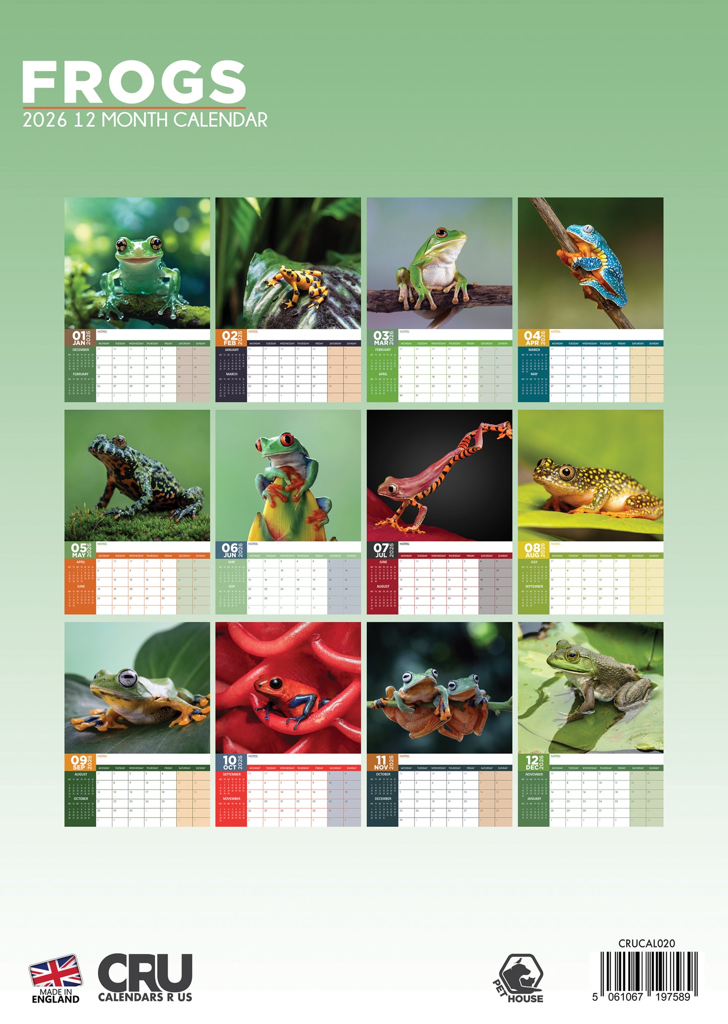 Frogs - A3 Calendar 2026